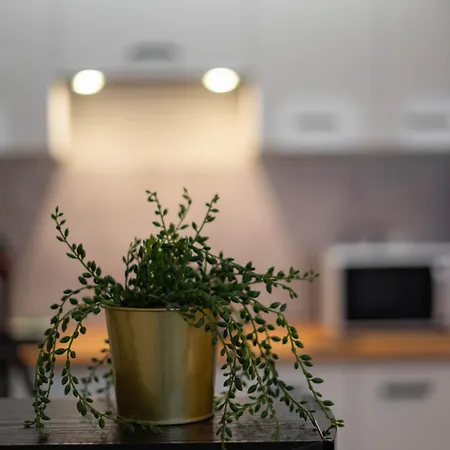 Waska 5 Apartment *